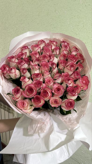 51 красные/розовые розы