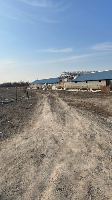 Жер сатамын 2,5 гектар