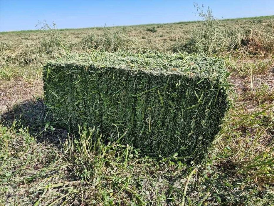 Пресс подборщик тюковой RSA 98