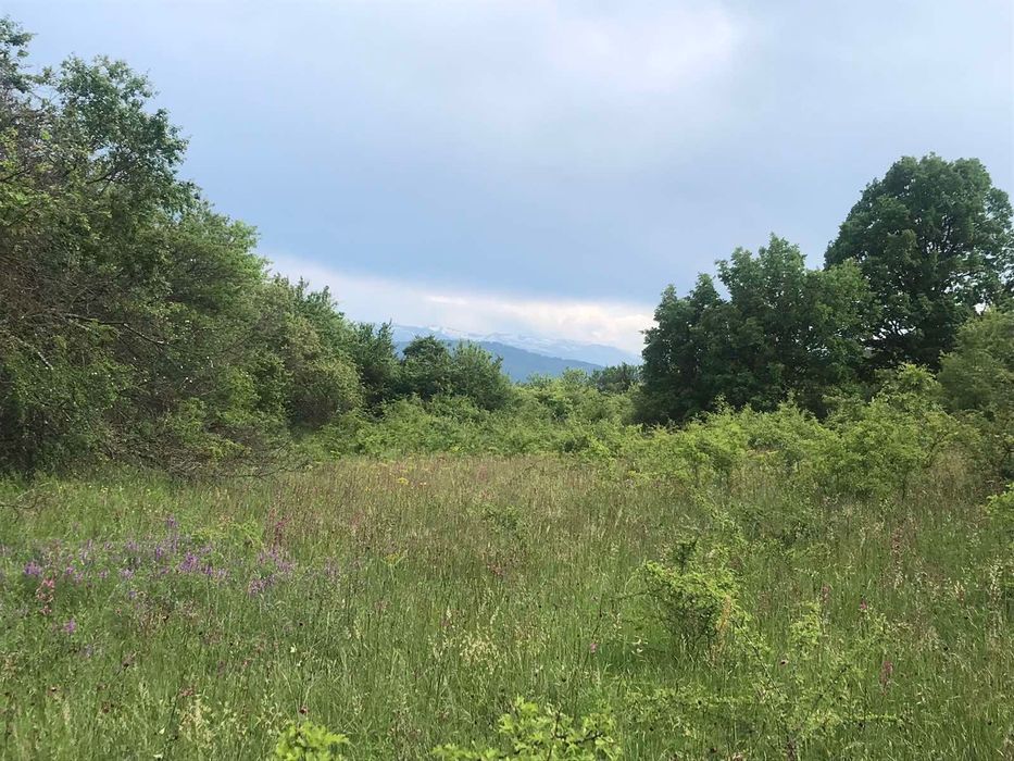 Продава се Земеделски имот в с. Боснек, Област Перник -  кв.м за 2000 €/дка - Снимка #4