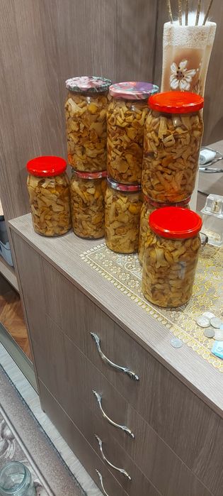 Продам лисики маринованные