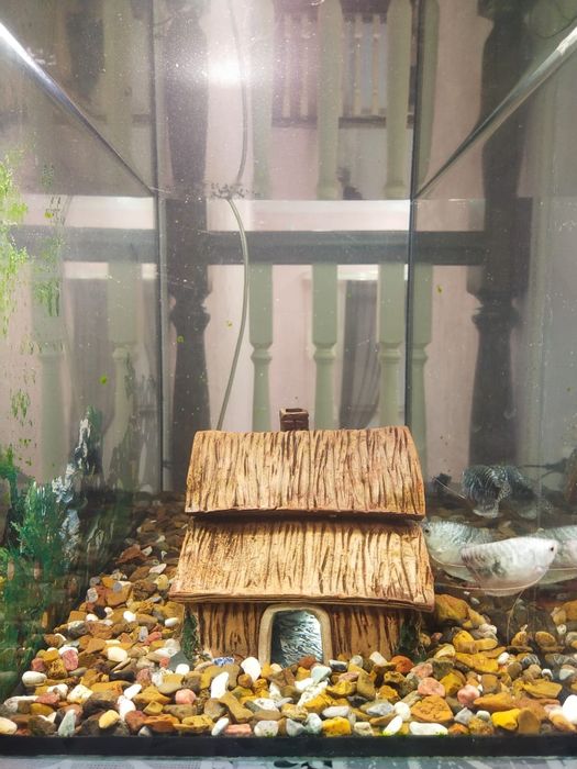 Продам аквариум с подставкой