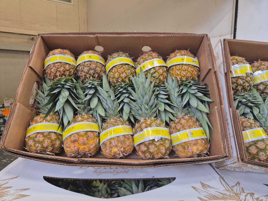 Дава се под наем Магазин в Варна, Погреби - 140 кв.м за 612.51 € - Снимка #8