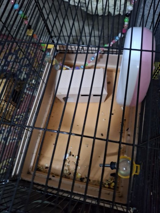 Пишите в ватсап.