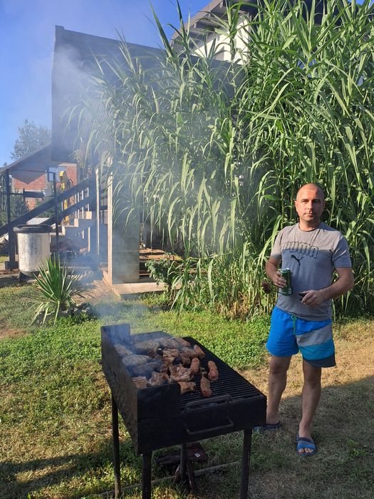 Vin butasi trestie uriașă