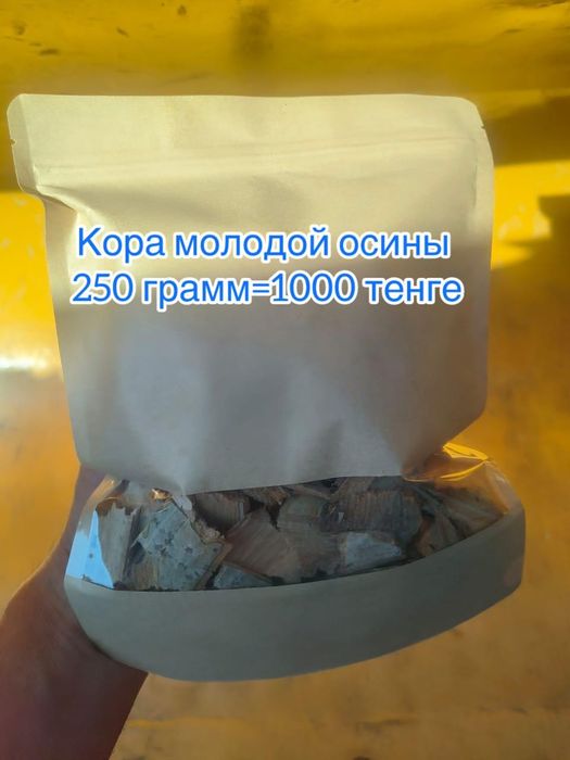 Кора молодой Осины