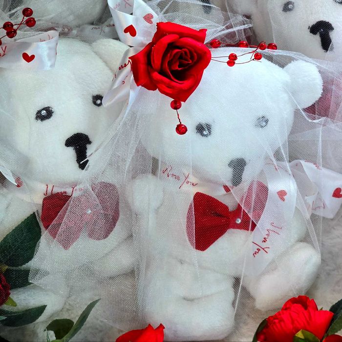 Ursuleti polari cu trandafir