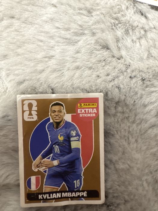 Cartonase panini extar stiker