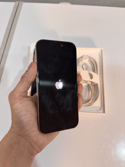 iPhone 16 Pro | Dual Sim | 100%