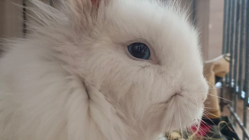 Голубоглазый блондин