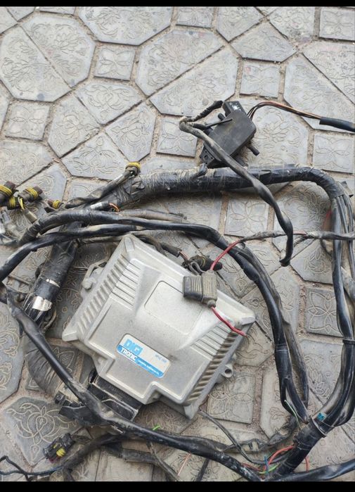 Mozg 4 pokaleniya DIJI TRONIK Italiya.. Epica dan echilgan