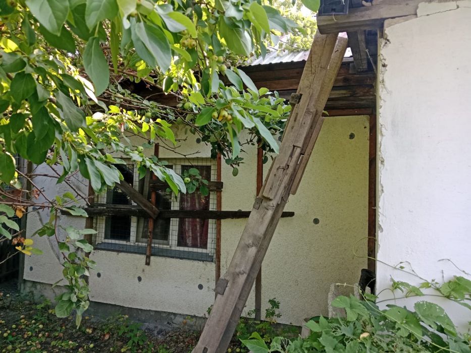 Продам дом/дачные постройки на разбор (стройматериалы, профлист)