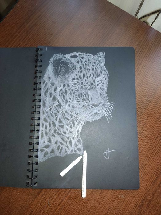 Realizez desene la comanda