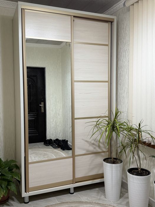 Шкаф-купе для прихожей