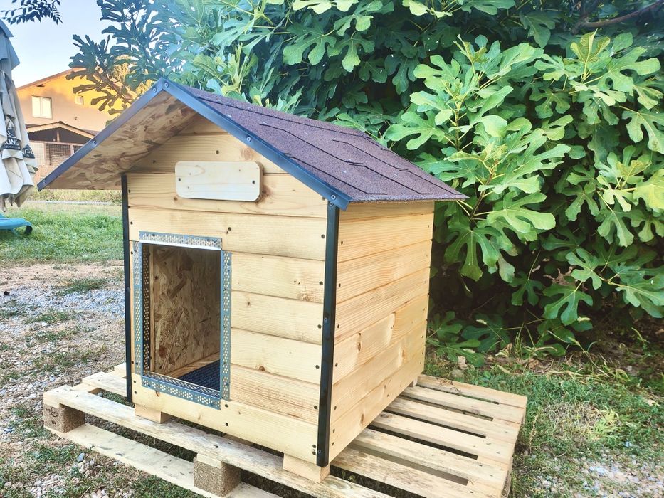 Cusca caine noua, izolata, calitate premium