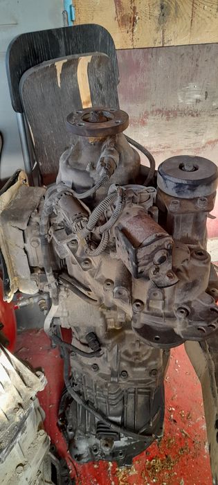 Cutie transfer kia sorento