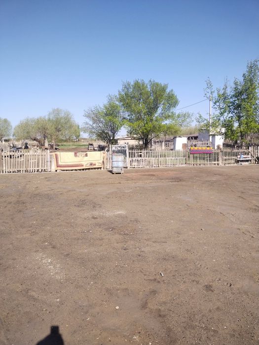 Уй сатылады,Байсын ауылы