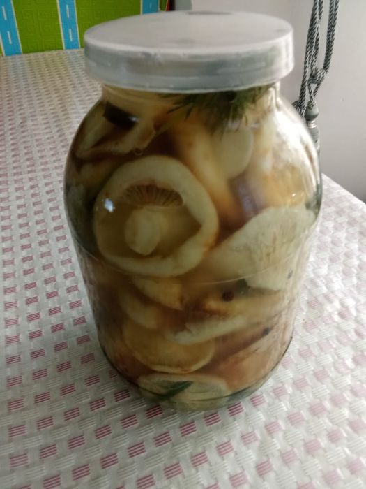 Соленые грибы(грузди)