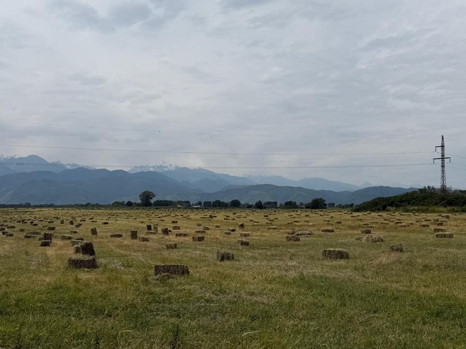 Продам сено разнотравье