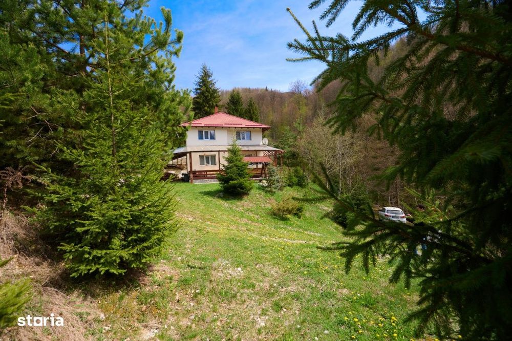 Casa Dambovicioara - CASA de vacanta sau PENSIUNE profitabila