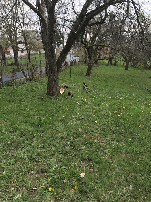 Teren de vânzare - Berbești, Maramureș