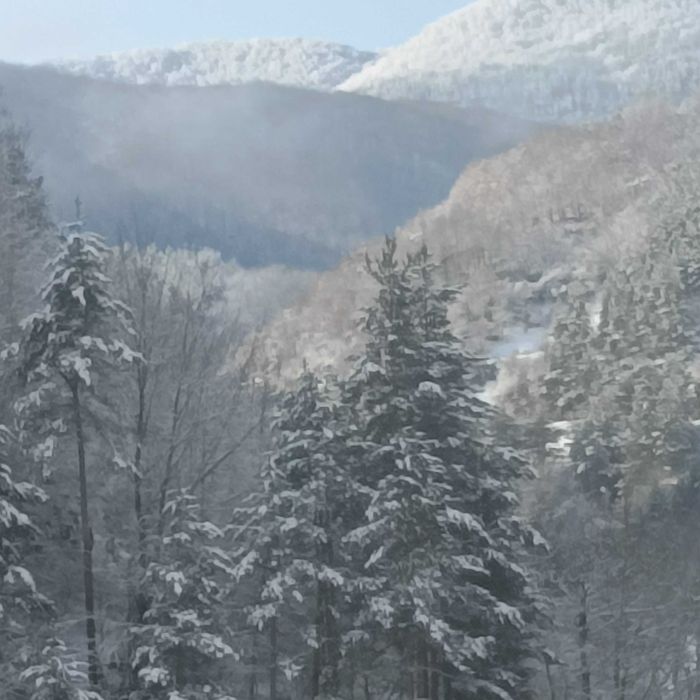 Дава се под наем Етаж от къща в Рудозем - 60 кв.м за 79.56 € - Снимка #6