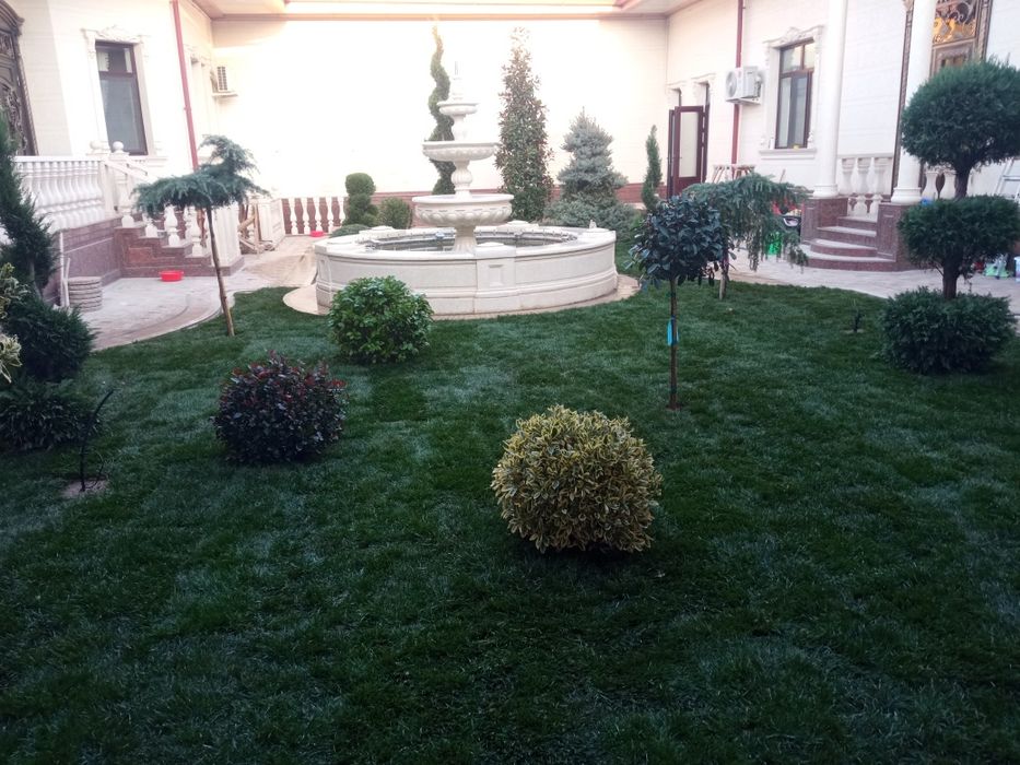 Газоны Полиной система ландшафтный дизайн