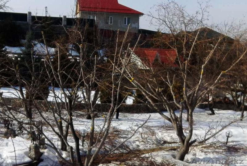 Обрезка плодовых деревьев!