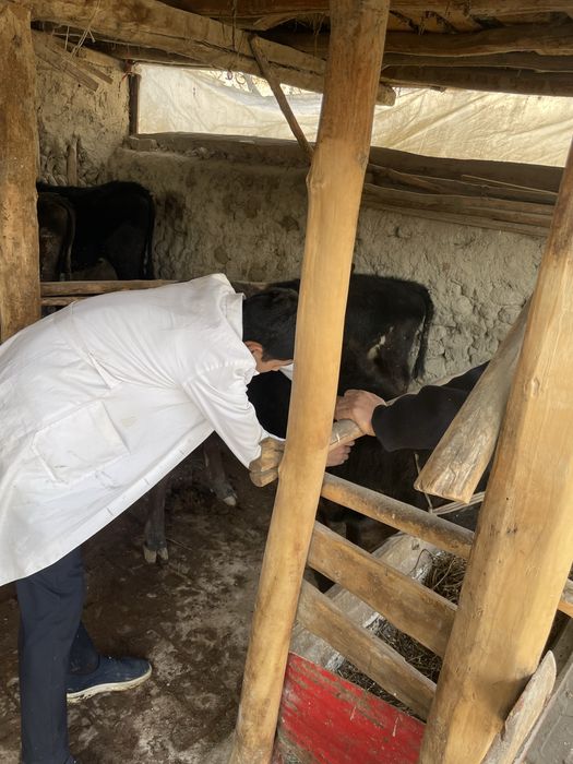 Veterinariya hizmati