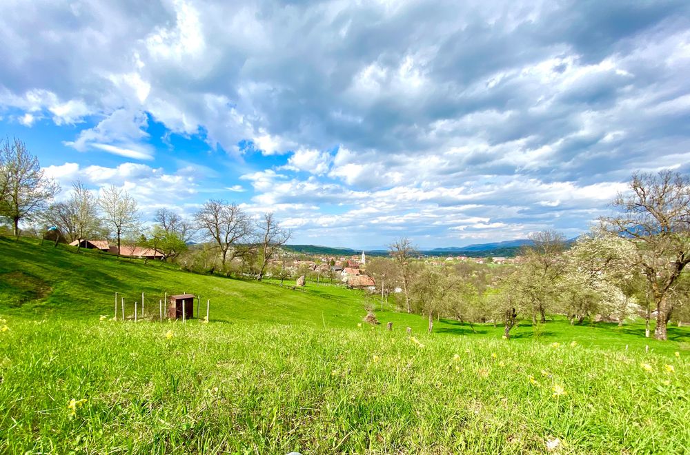 Teren intravilan 3.000 mp Bran – Predeluț | Via Transilvanica | Vedere Bucegi & Piatra Craiului | Autorizație