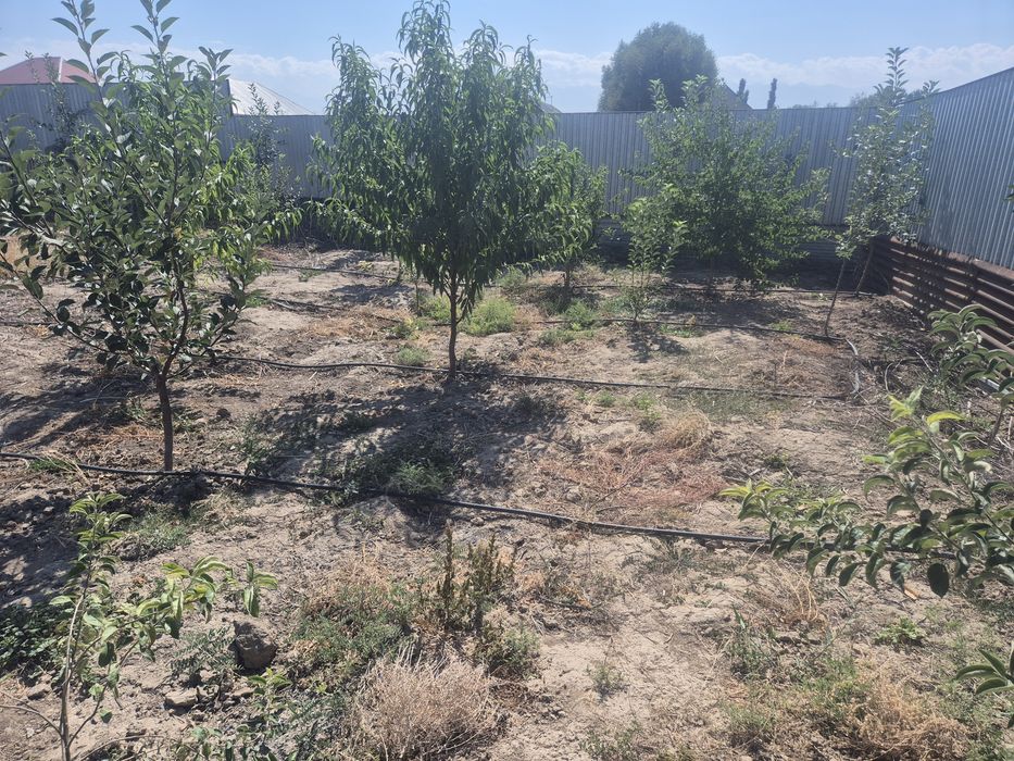 Времянка сатылады посёлок Кошмамбет