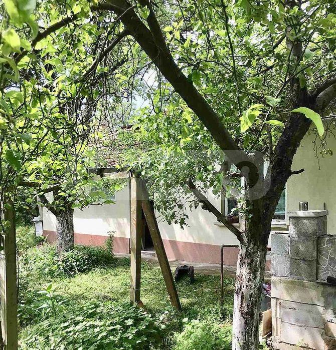 Продава се Къща в Плиска - 80 кв.м за 488 €/кв.м - Снимка #4