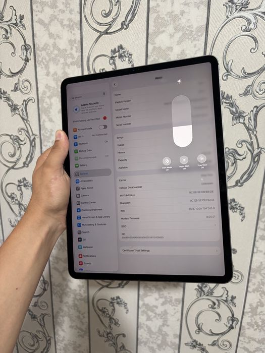 Ipad pro 12.9 256 gb