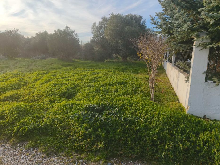 Продава се бизнес парцел 907 м2 близо до морето в Неа Врасна, Гърция