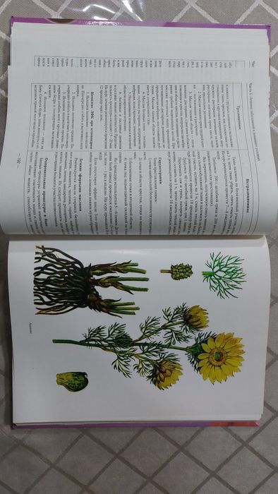 Медицинский справочник на все случаи жизни