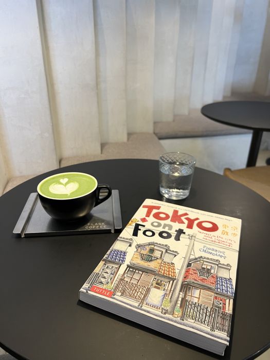 Большая книга иллюстратор на английском