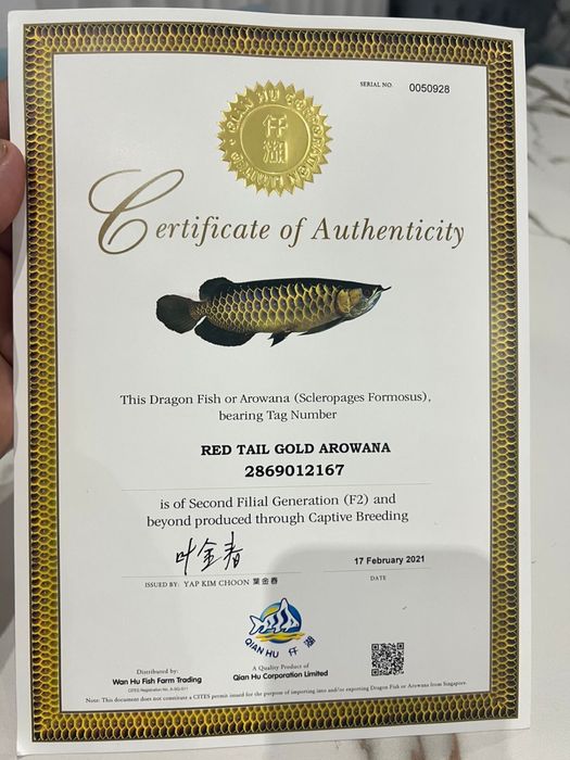 Продам рыбу Аравана