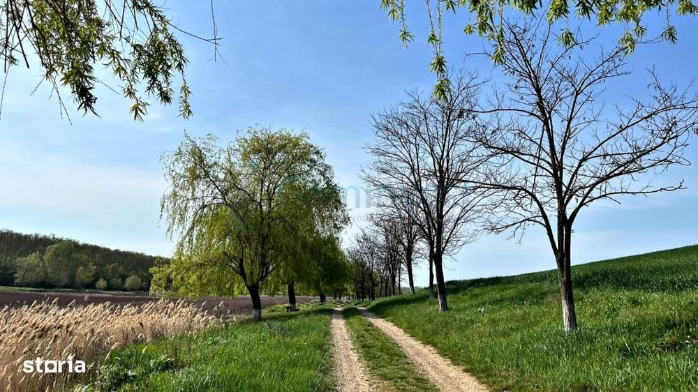 Teren in Cetariu,langa lac,14 km de Oradea GaminvestV4588B