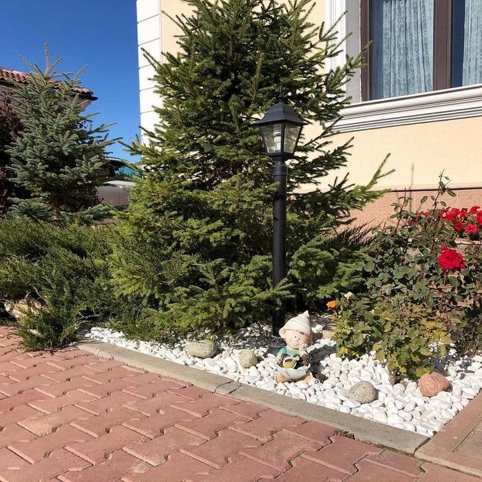 Крошка Галька Блужник