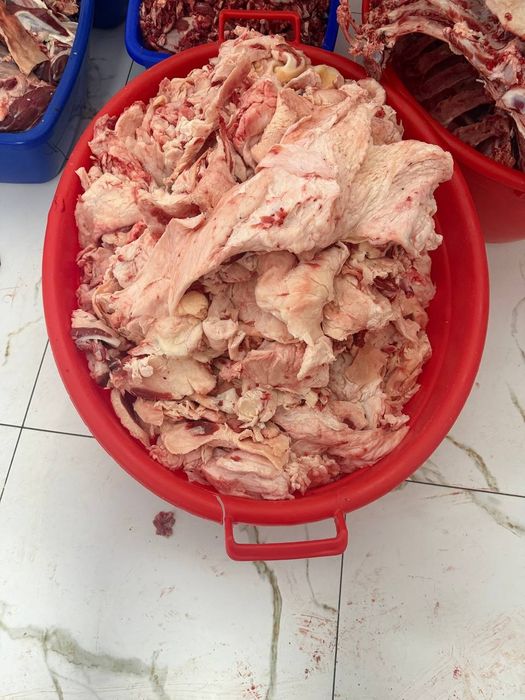 Mol go'shtidan ajratib olingan mol yog'i