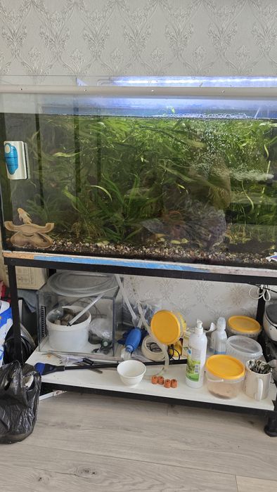 Продам аквариум 120- 150л