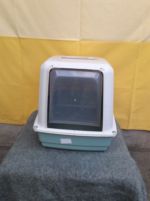 Literă pentru pisici