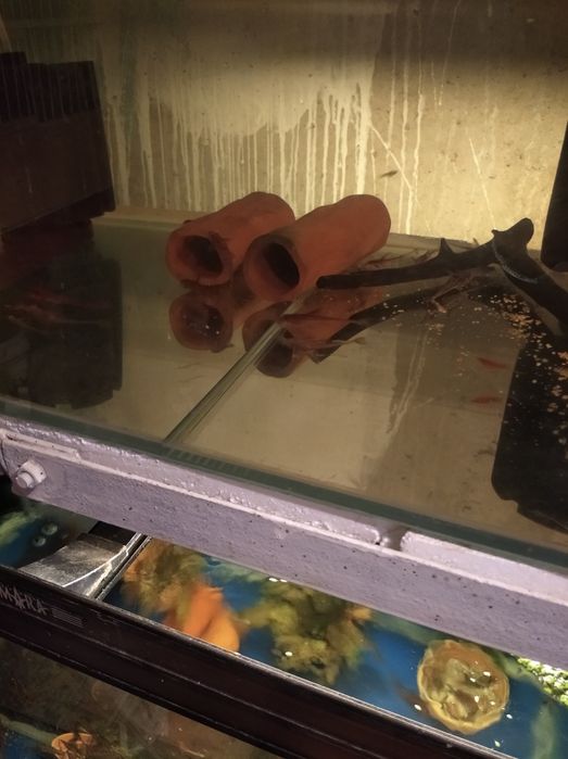 Продам Акварюм с рыбками