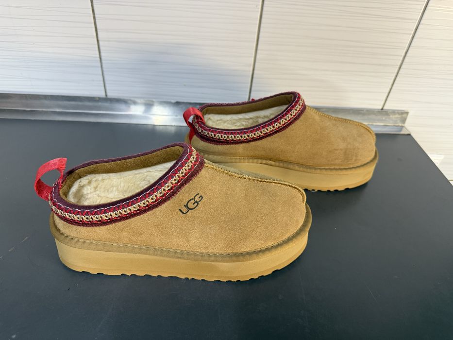 Ugg tazz 2 chestunt