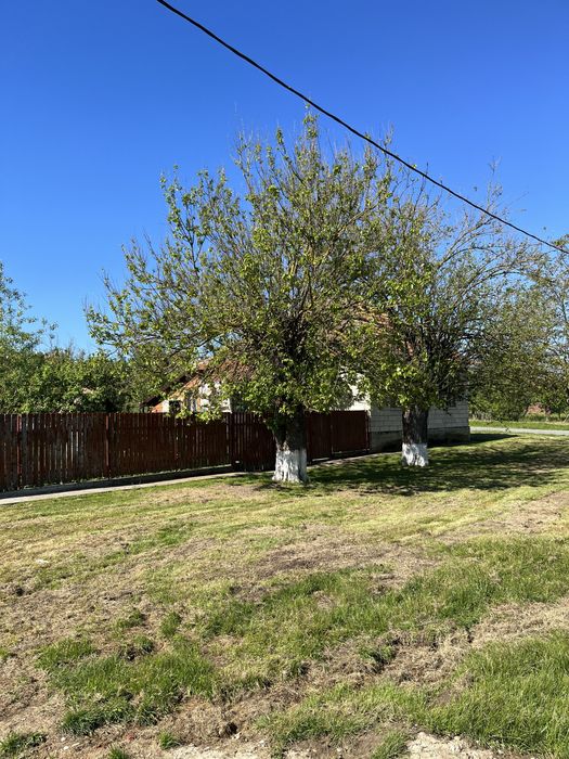 Vând casă în localitatea Paniova