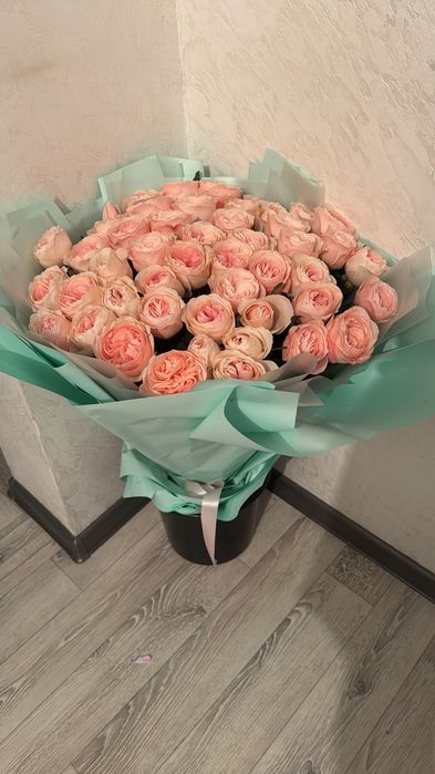 Продам цветы покупали вчера