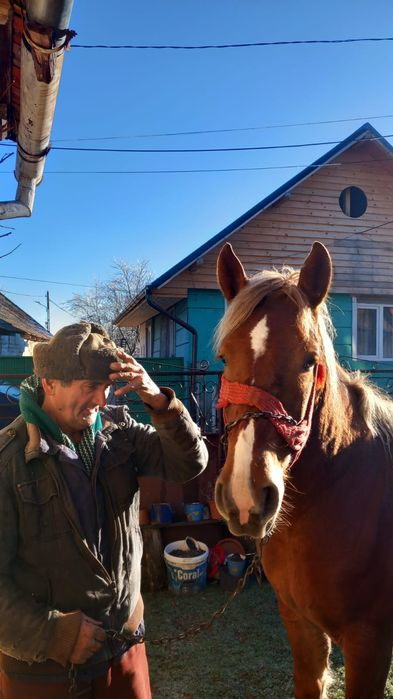 Vand iapa semi-murana de 1an si 7 luni