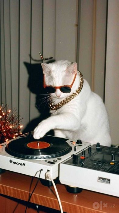 DJ (Диджей) на торжество