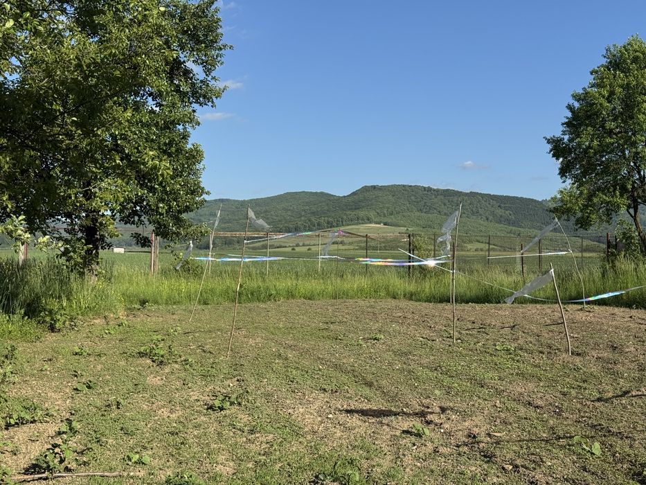 Teren intravilan 3000 mp – CENTRU Budila
