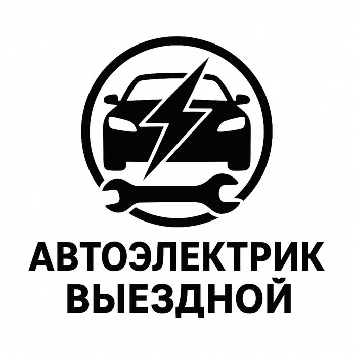 Автоэлектрик выезд